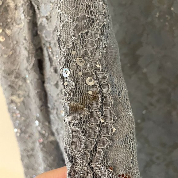 Alex Evenings Silver Sequin Long Dress and Jacket - Mother of the Bride - Picture 13 of 13